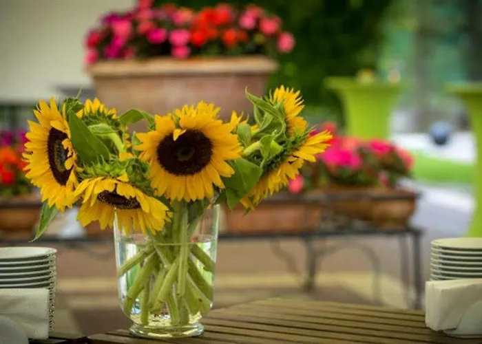 Expo - Free Airport Shuttle Hotel Sofia