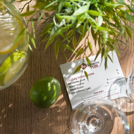 Отель Expo - Free Airport Shuttle София