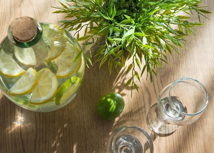 Expo - Free Airport Shuttle 酒店 索菲亞