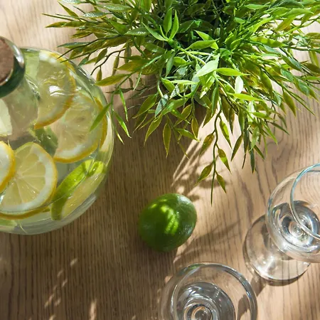 Expo - Free Airport Shuttle Hotel Sofia